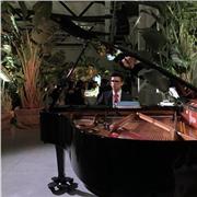 Insegnante di Pianoforte con diploma di Conservatorio